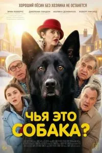 Чья это собака?